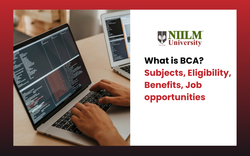 What is BCA: Subjects, Eligibility, Benefits, Job Opportunities